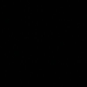 Meet your Posher, Donte